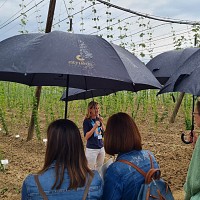 Participants taking a tour at the Experimental Property at IHPS, as part of an excursion.