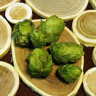 Komplet za domačo izdelavo piva