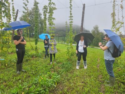 Sekcijski nasad, udeleženci ogledujejo rastline.