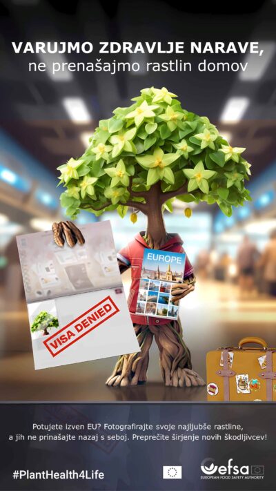 Varujmo zdravje narave, ne prinašajmo rastlin domov (EFSA)