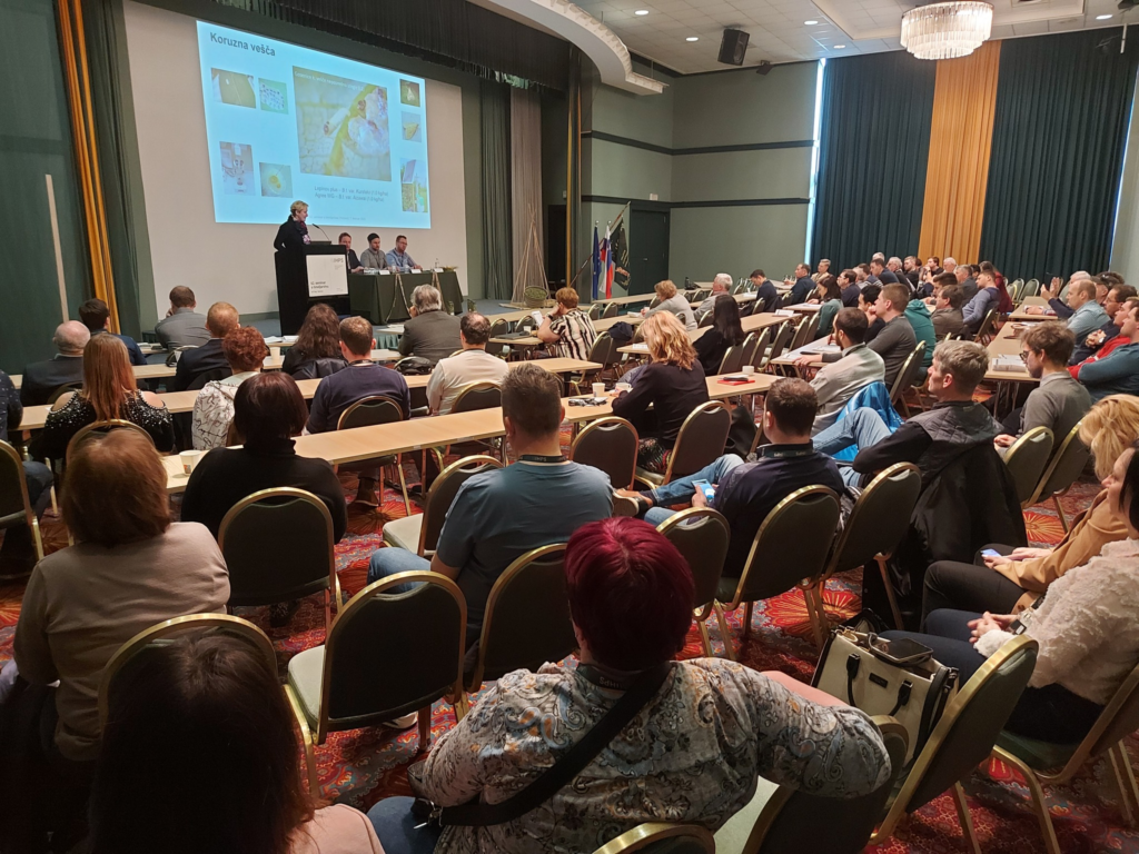 Udeleženci seminarja v dvorani poslušajo predavanje