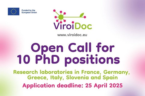 Oglas - dekorativna, vsebina je navedena v tekstu