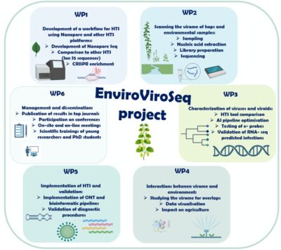 Structure of the project. Description is in text above the picture.