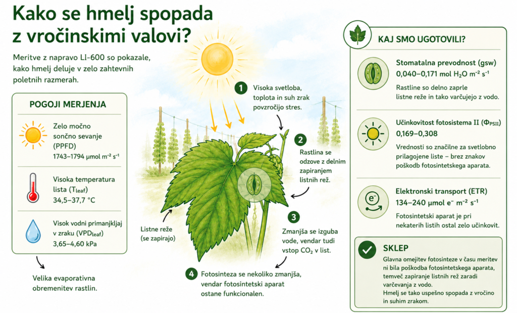 Shematski prikaz. Vsebina infografike pojasnjena v priloženi datoteki. Generirana z AI.